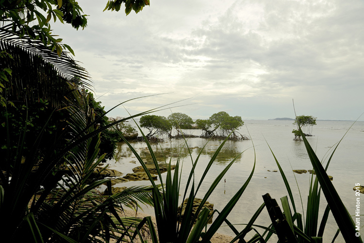 Landscapes