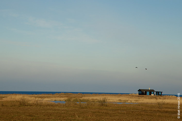 Landscapes