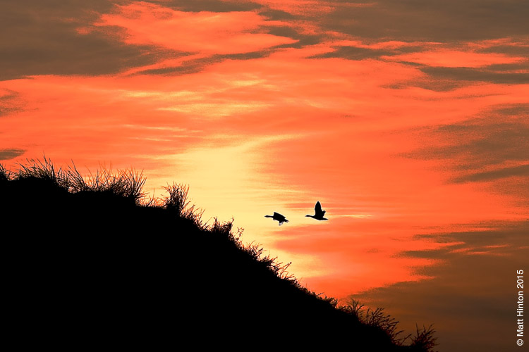 Nature