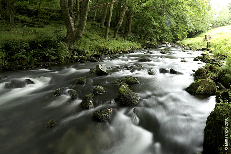 Nature